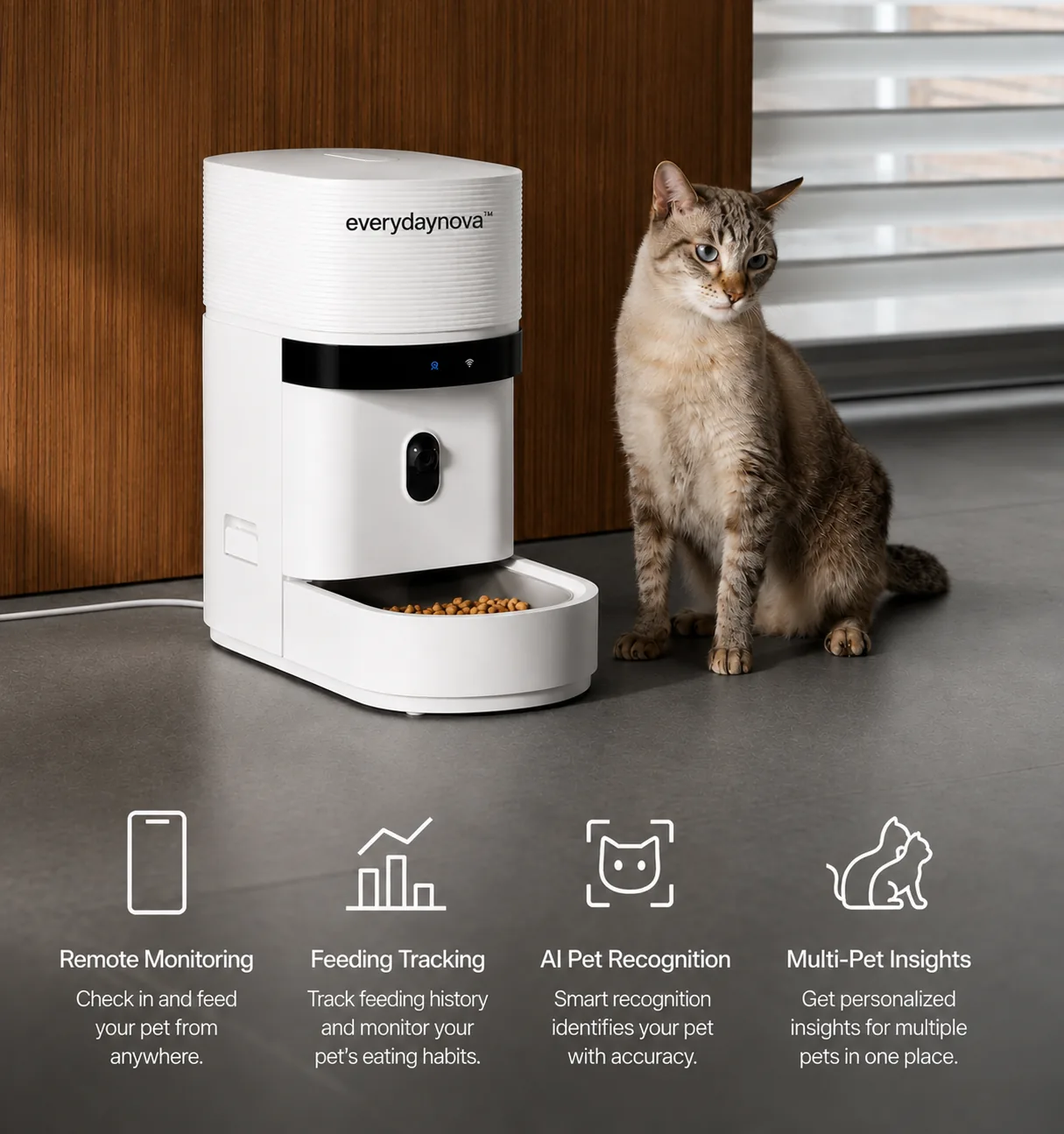 Cat beside smart feeder with remote monitoring features